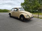 Volkswagen Kever, Auto's, Achterwielaandrijving, Zwart, Volkswagen, Beige