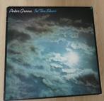 LP  Peter Green – In The Skies, Cd's en Dvd's, Ophalen of Verzenden, Zo goed als nieuw, 12 inch, Blues