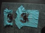 T-shirt 2 stuks maat 110, Ophalen of Verzenden, Zo goed als nieuw, Jongen, Shirt of Longsleeve