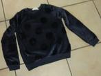 Een zachte blauwe trui met bolletjes, 10-12 jaar, NIEUW, Ophalen, Nieuw, Meisje, Trui of Vest