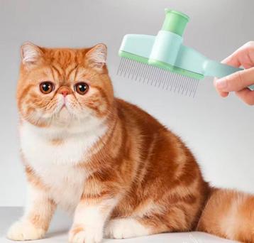Honden/kattenkam  beschikbaar voor biedingen