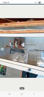 Te koop koppel majoor putters met kooie, Dieren en Toebehoren, Vogels | Overige Vogels, Geringd