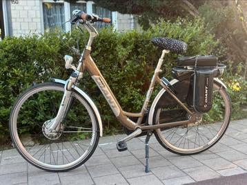 Vélo électrique géant, Enlèvement, Giant