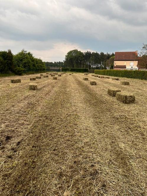 Kleine pakken hooi stro en voordroog pressen en wikkelen, Dieren en Toebehoren, Dierenvoeding, Overige soorten, Ophalen of Verzenden