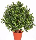 Kunstbuxus in pot uv bestendig met stam, Nieuw, Ophalen of Verzenden, Sunshine-Colours BV, Budingenweg 37 Te 3440 Zoutleeuw