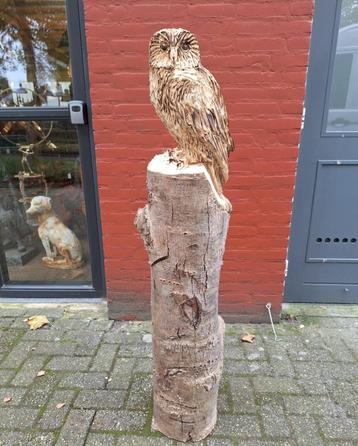 Groot Houtsnijwerk tuinbeeld van een Uil beschikbaar voor biedingen