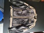 Motorvest Harley Davidson, Motoren, Kleding | Motorkleding, Ophalen, Jas | textiel, Heren, Harley Davidson