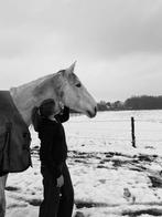 Springpaard zoekt goede thuis, Dieren en Toebehoren, Paarden, Ruin, 175 cm of meer, Springpaard, 11 jaar of ouder