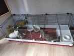 grande cage a lapins ou cochon inde, Animaux & Accessoires, Rongeurs & Lapins | Cages & Clapiers, Comme neuf, 90 cm ou plus, Lapin