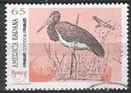 Spanje 1993 - Yvert 2863 - Zwarte Ooievaar (ST), Postzegels en Munten, Verzenden, Gestempeld