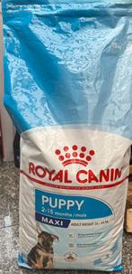 Royal Canin maxi adult puppy (15kg), Dieren en Toebehoren, Dierenvoeding, Ophalen, Hond