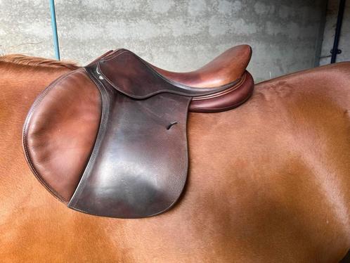 Selle Antares Havane, Dieren en Toebehoren, Paarden en Pony's | Zadels, Gebruikt, Springen, Ophalen