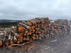 bois chauffage, Jardin & Terrasse, Enlèvement, Bouleau