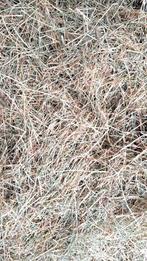 Hooi grote balen €22/100kg, Ophalen