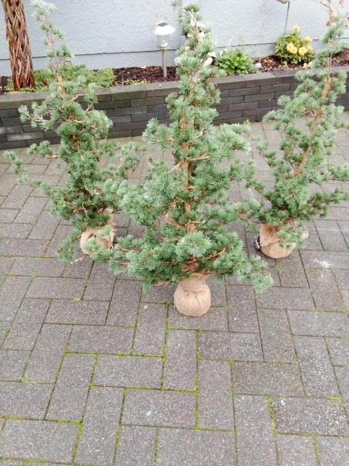 Unieke kerstboompjes, Divers, Noël, Comme neuf, Enlèvement