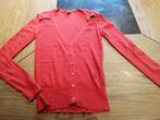 TRUI ROOD MERK WHO THAT GIRL  – MAAT XS, Kleding | Dames, Who's that girl, Ophalen of Verzenden, Maat 34 (XS) of kleiner, Gedragen