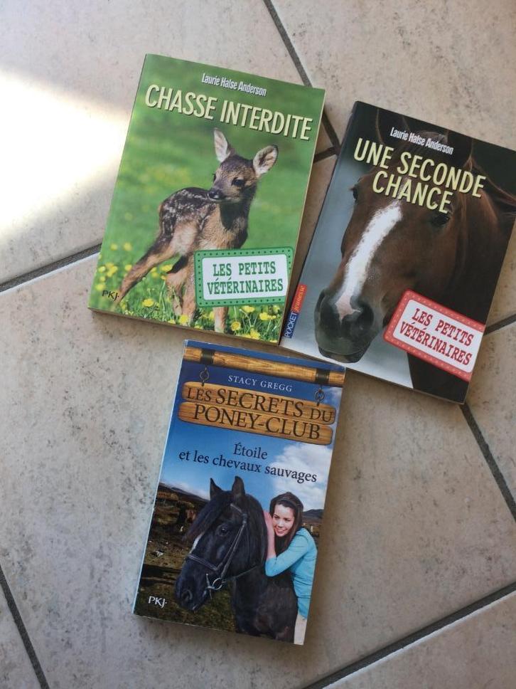 TWEEDE KANS” JAGEN VERBODEN"PONYCLUB"8 JAAR+, Boeken, Kinderboeken | Jeugd | onder 10 jaar, Gelezen, Fictie algemeen, Ophalen of Verzenden