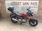 Suzuki GW 250 Inazuma, bj 2017, Motoren, Motoren | Suzuki, Naked bike, Bedrijf, 12 t/m 35 kW, 2 cilinders