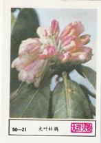 lucifermerk luciferetiket #210 bloemen (50-21), Collections, Articles de fumeurs, Briquets & Boîtes d'allumettes, Boîtes ou marques d'allumettes