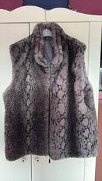 Bodywarmer TU, Kleding | Dames, Ophalen, Zo goed als nieuw, Overige kleuren, Jasje