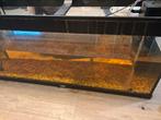 Aquarium salontafel, Ophalen, Zo goed als nieuw