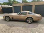 Chevrolet Corvette C3 de 1980 (à peine 7900 km), Achat, Entreprise, Autre carrosserie, Corvette