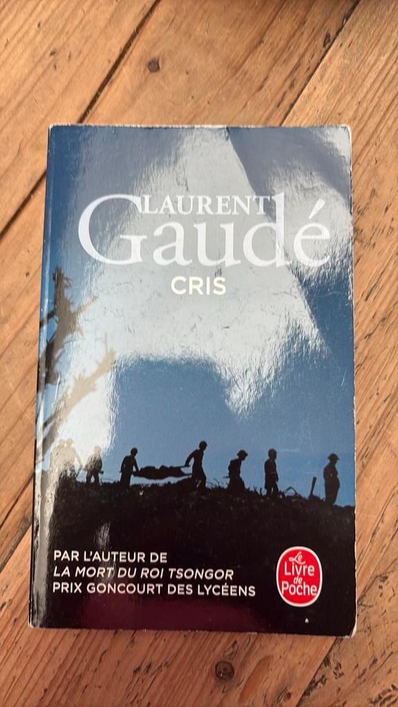 Laurent Gaudé - Cris, Boeken, Romans, Zo goed als nieuw, Ophalen