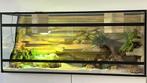 Terrarium compleet 1m20x50cmx52cm, Ophalen, Zo goed als nieuw, Terrarium of Paludarium