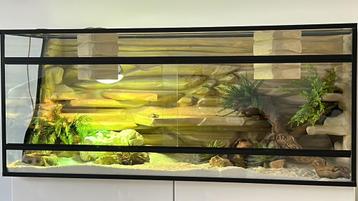 Terrarium compleet 1m20x50cmx52cm, Enlèvement, Comme neuf, Terrarium ou Paludarium