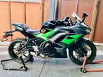 ninja 650cm3 abs 4/2024 988km gar 2028, Motos, Motos | Kawasaki, 2 cylindres, Plus de 35 kW, Sport, 650 cm³