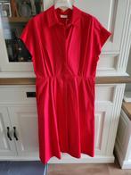 Liu Jo kleedje mt 42 NIEUW, Enlèvement ou Envoi, Liu Jo, Sous le genou, Neuf