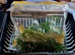 Guppy Gras (Najas guadalupensis), Ophalen, Plant(en), Steen of Hout
