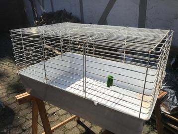 animaux en cage, Lapin, Moins de 60 cm, Cage, Utilisé