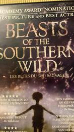 Beasts Of The Southern Wild, CD & DVD, DVD | Aventure, Comme neuf, Enlèvement ou Envoi