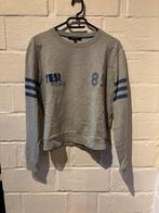 Sweater maat 40, Nikkie, Ophalen of Verzenden, Maat 38/40 (M), Grijs