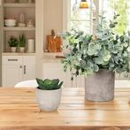 Set van 5 kunstplanten | GRATIS LEVERING, Binnen, -, Verzenden, -
