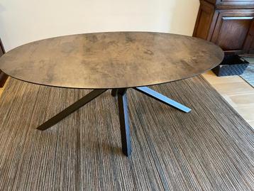 Ellipsvormige moderne eettafel (nieuwprijs >1000 Euro) beschikbaar voor biedingen
