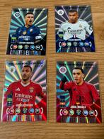 LIMITED EDITIONS FIFA WORLD CUP VOOR CLUBS, Verzamelen, Sportartikelen en Voetbal, Ophalen of Verzenden, Zo goed als nieuw