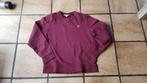 trui lacoste, Kleding | Heren, Ophalen of Verzenden, Zo goed als nieuw, Maat 48/50 (M), Lacoste