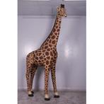 Giraffe 8 ft. – Giraf beeld Hoogte 230 cm, Ophalen, Nieuw