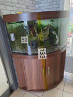 Bijou d'aquarium 200 litres, Enlèvement, Utilisé, Aquarium d'eau douce rempli