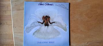 À propos de « Paradise bird » d'AMII STEWART, Enlèvement ou Envoi, Utilisé