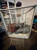 Grande cage pour FURET ou CHINCHILLA, Animaux & Accessoires, Enlèvement, Utilisé