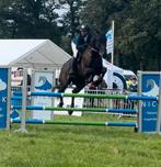 Zadelmak maken, doorrijden, verkopen in optie,…, Dieren en Toebehoren, Paarden, Zadelmak