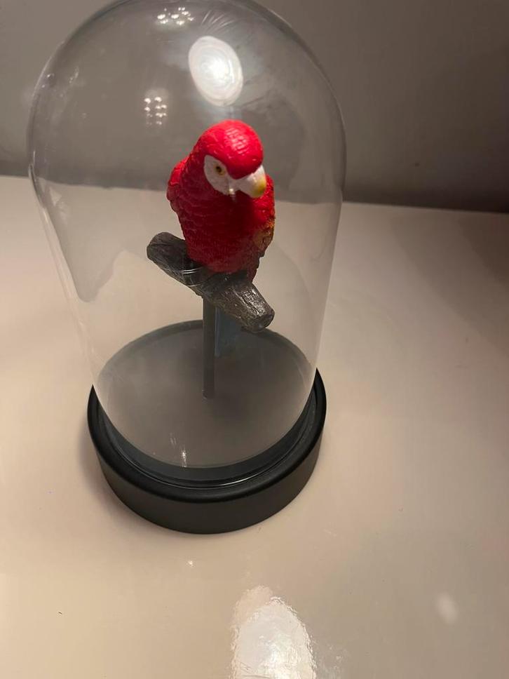 Joli perroquet coloré dans un dôme en verre, Huis en Inrichting, Woonaccessoires | Stolpen, Zo goed als nieuw, Ophalen of Verzenden