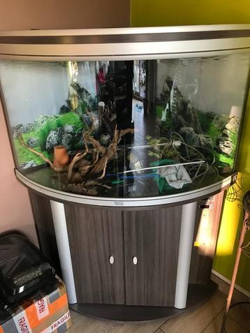 Hoekaquarium van 190 liter beschikbaar voor biedingen