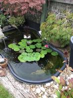 Vijver, Jardin & Terrasse, Étangs, Enlèvement, Comme neuf
