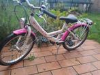 Meisjesfiets 20 inch, Fietsen en Brommers, Ophalen, Gebruikt, Versnellingen, Oxford