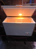 Grote vrieskist in goede staat 730 liter inhoud, Ophalen of Verzenden, Vrieskist