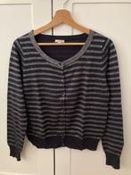 Mer Du Nord gilet maat M, Kleding | Dames, Truien en Vesten, Mer du Nord, Ophalen of Verzenden, Maat 38/40 (M)